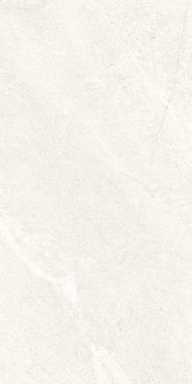Dhara White Matte 12 x 24